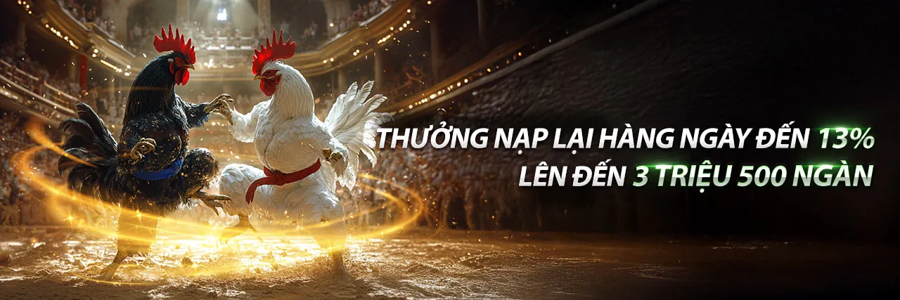 Đá Gà Trực Tuyến Sôi Động tại Kèo Nhà Cái 88 Bet